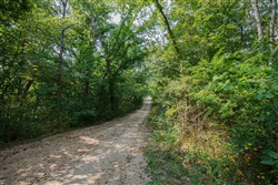 Springlake Tract 9