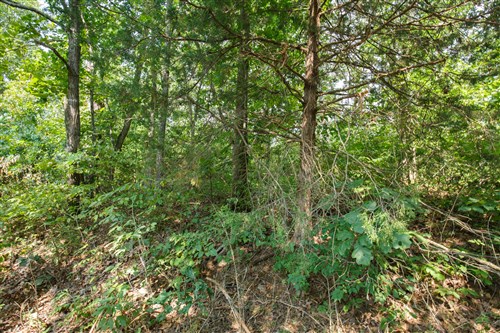 Springlake Tract 9