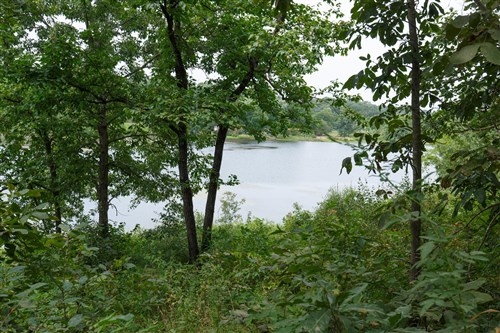 Springlake Tract 6