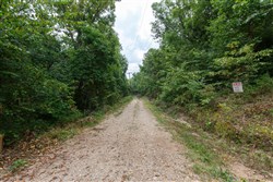 Springlake Tract 111