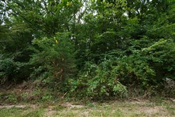 Springlake Tract 111