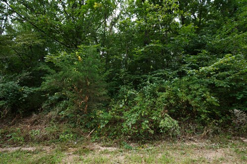 Springlake Tract 111