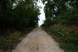 Springlake Tract 111