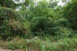 Springlake Tract 112