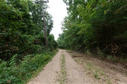 Springlake Tract 112