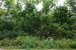 Springlake Tract 112
