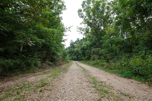 Springlake Tract 113