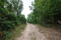 Springlake Tract 113