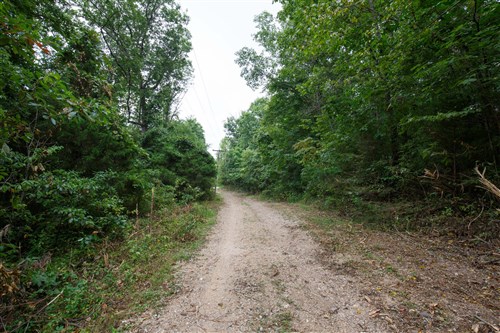 Springlake Tract 113