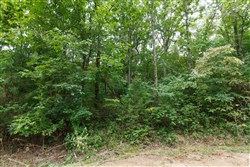 Springlake Tract 113