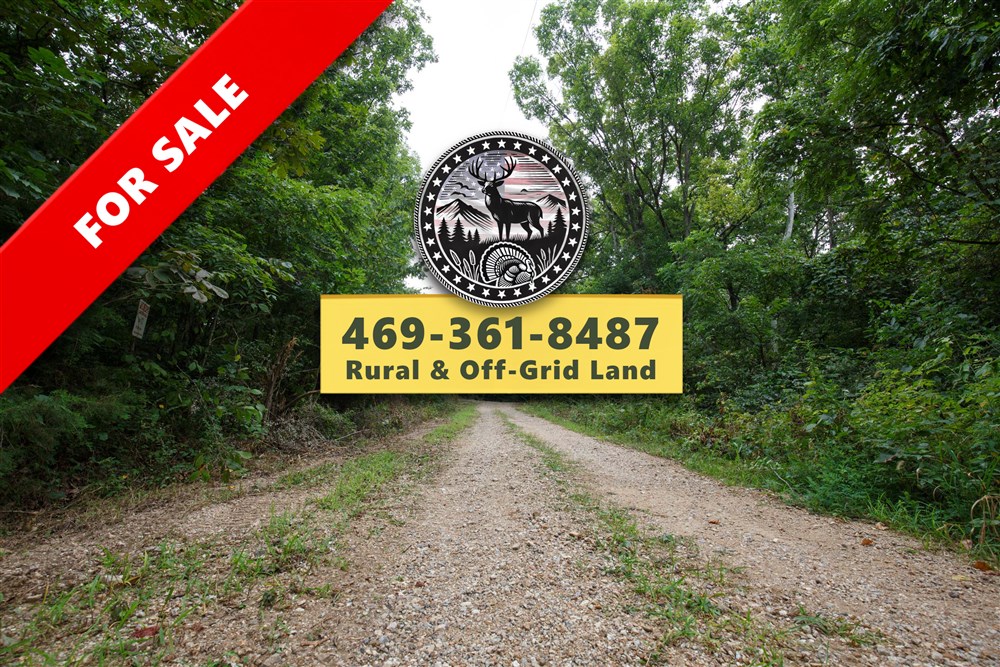 Springlake Tract 113 - Primary