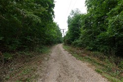 Springlake Tract 116