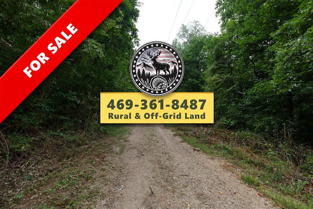 Springlake Tract 116 - Primary