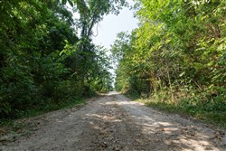 Springlake Tract 37