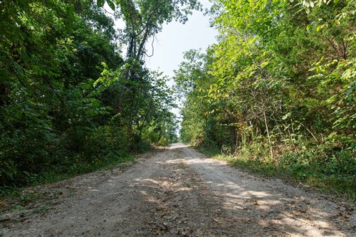 Springlake Tract 37
