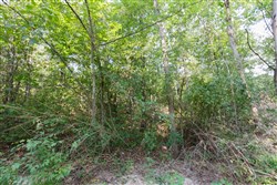 Springlake Tract 37