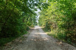 Springlake Tract 38