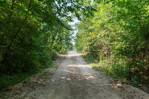 Springlake Tract 38