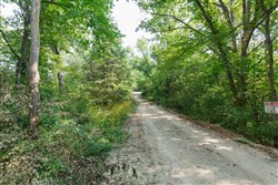 Springlake Tract 38
