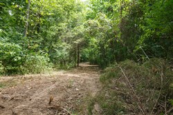 Springlake Tract 59