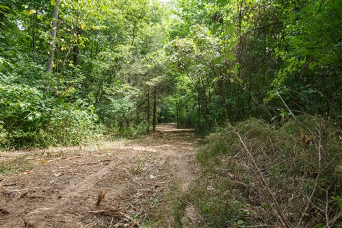 Springlake Tract 59