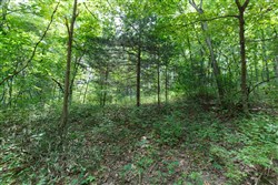 Springlake Tract 59