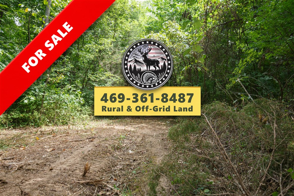 Springlake Tract 59 - Primary