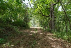 Springlake Tract 64