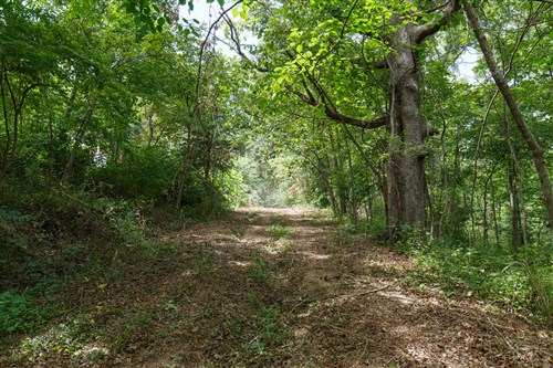 Springlake Tract 64