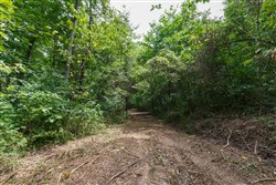 Springlake Tract 64