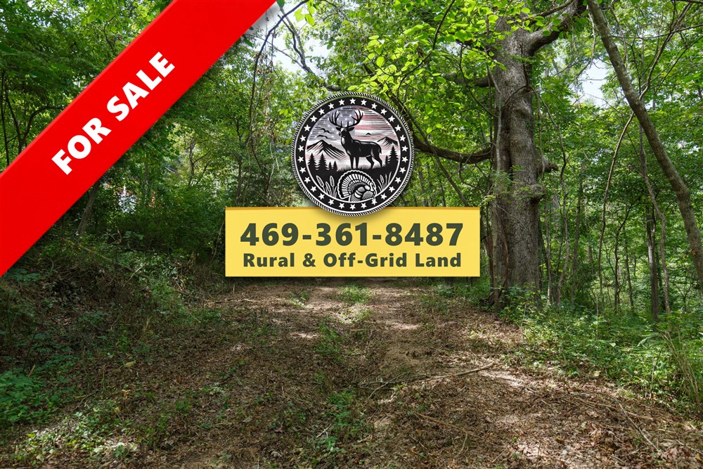 Springlake Tract 64 - Primary