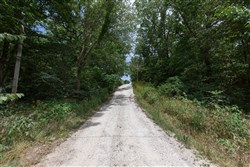 Springlake Tract 89