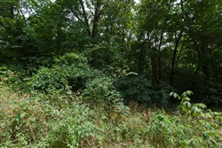 Springlake Tract 89