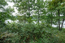 Springlake Tract 14