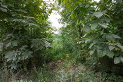 Springlake Tract 170