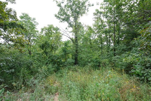Springlake Tract 170