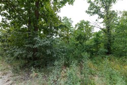 Springlake Tract 170