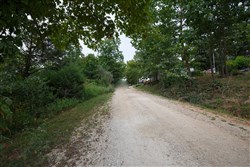 Springlake Tract 170
