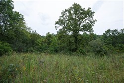 Springlake Tract 174