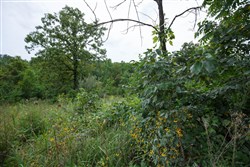 Springlake Tract 174