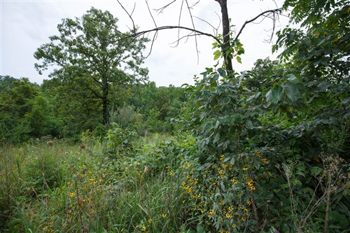 Springlake Tract 174