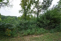 Springlake Tract 174