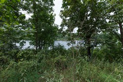 Springlake Tract 22