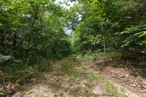 Springlake Tract 298