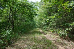 Springlake Tract 298