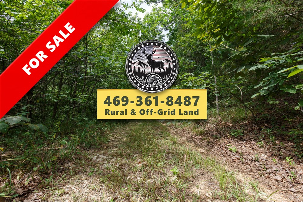 Springlake Tract 298 - Primary