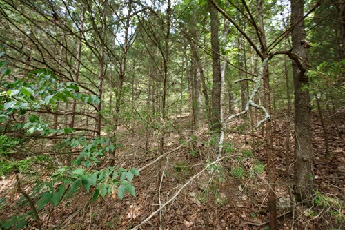 Springlake Tract 302