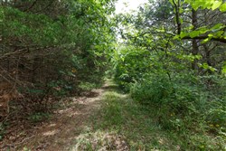 Springlake Tract 302