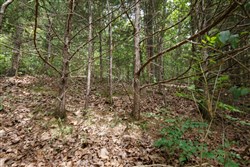 Springlake Tract 302