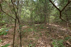 Springlake Tract 302